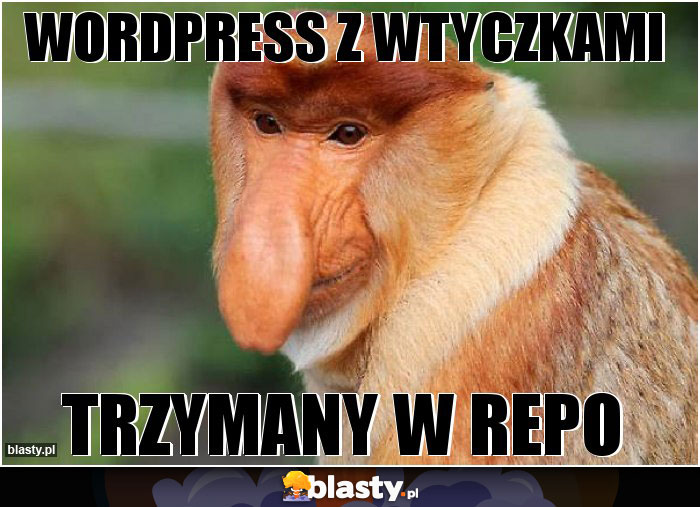 WORDPRESS Z WTYCZKAMI