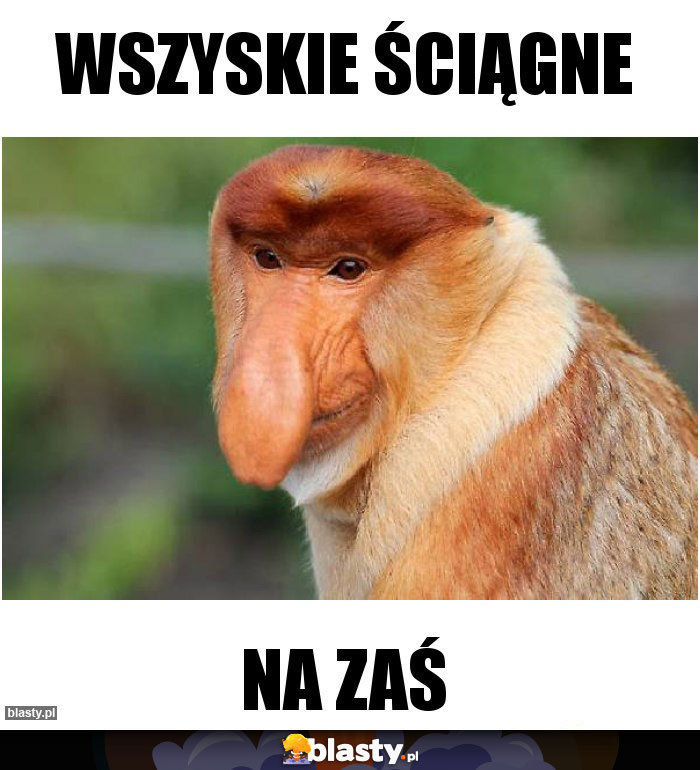 Wszyskie ściągne