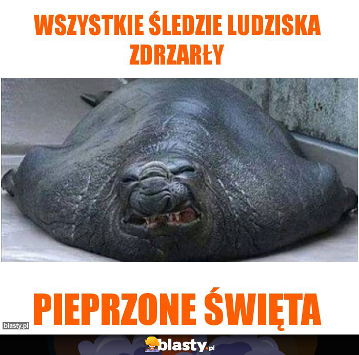 Wszystkie śledzie ludziska zdrzarły