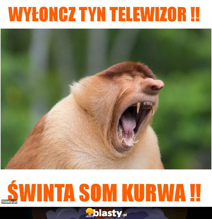 wyłoncz tyn telewizor !!