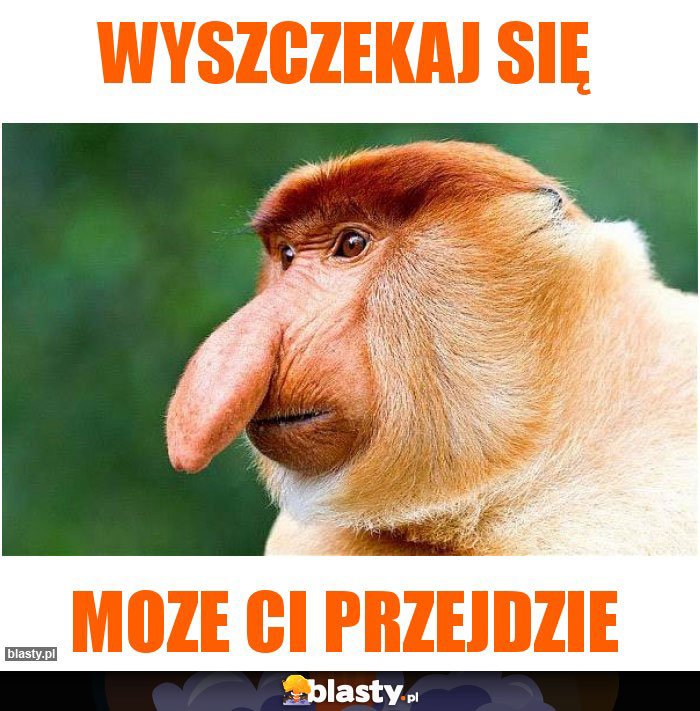 WYSZCZEKAJ SIĘ