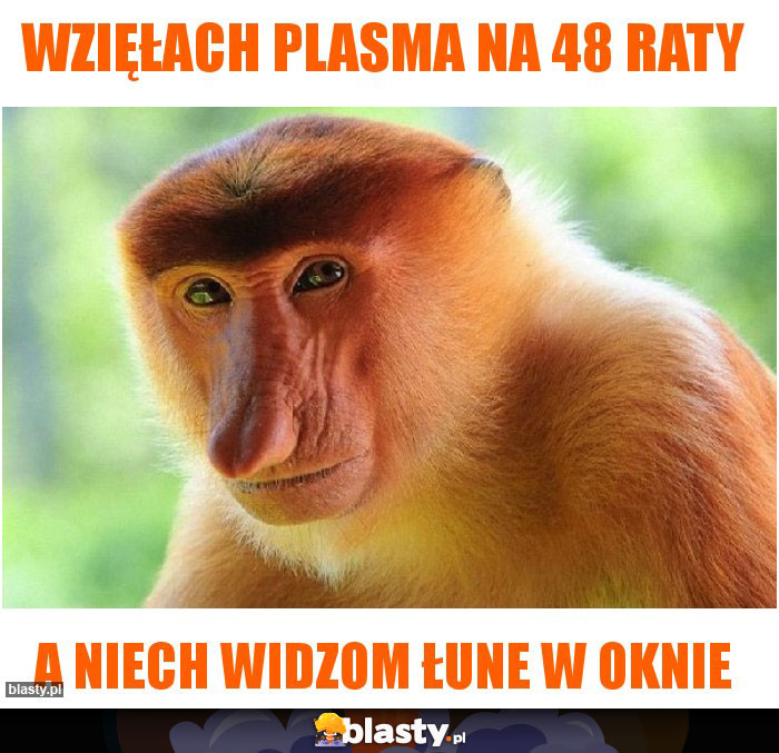 Wzięłach plasma na 48 raty