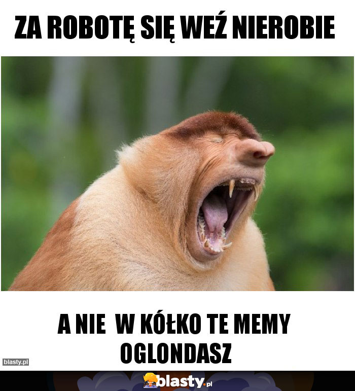 Za robotę się weź nierobie