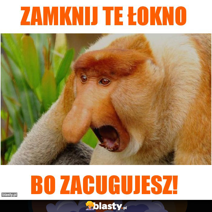 Zamknij te łokno