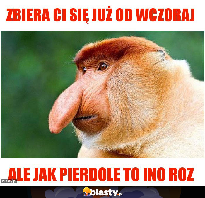 Zbiera ci się już od wczoraj Zbiera ci się już od wczoraj