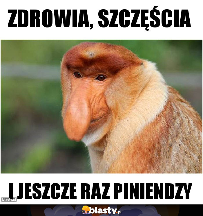 ZDROWIA, SZCZĘŚCIA ZDROWIA, SZCZĘŚCIA