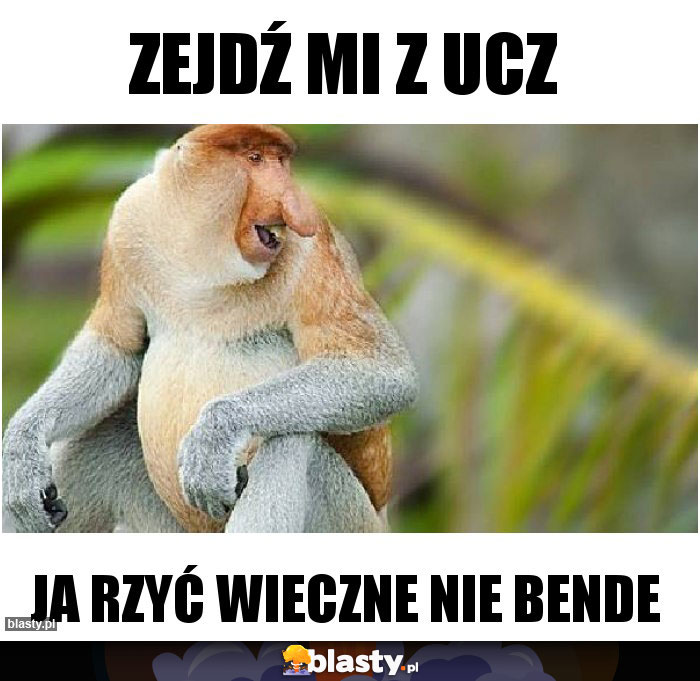Zejdź mi z ucz