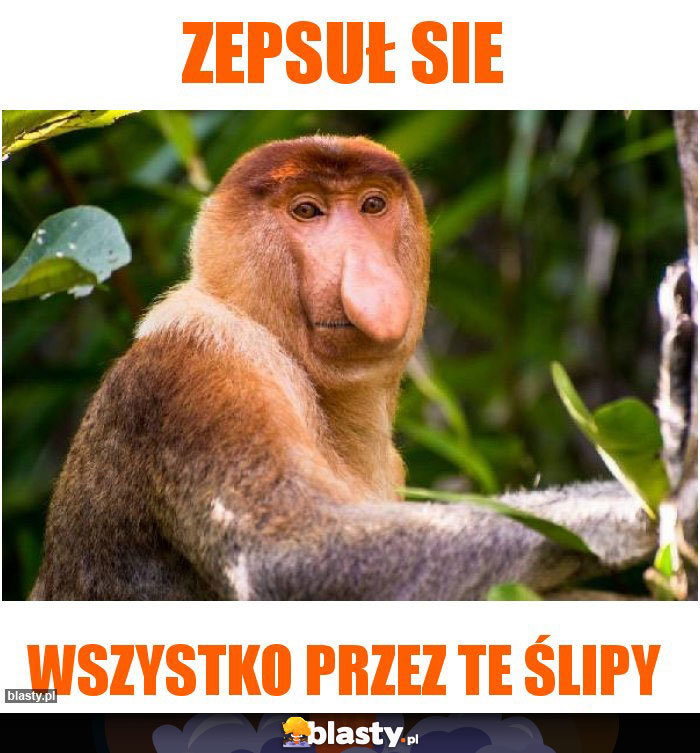 Zepsuł sie