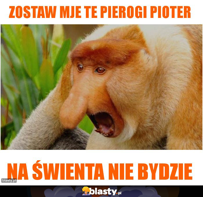 Zostaw mje te pierogi pioter
