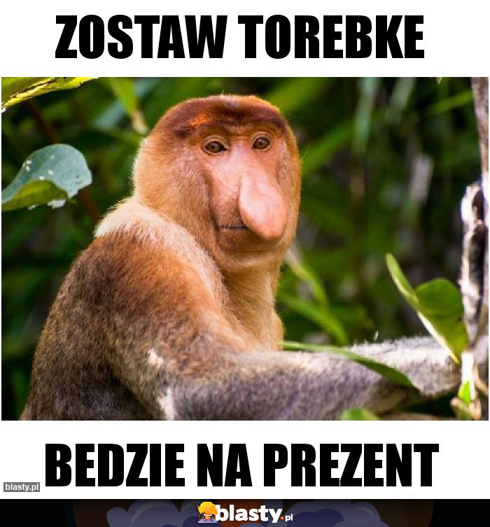 ZOSTAW TOREBKe ZOSTAW TOREBKe