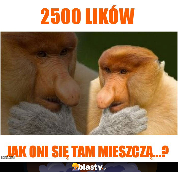 2500 lików