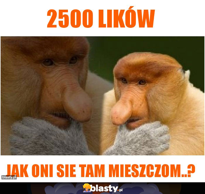 2500 lików