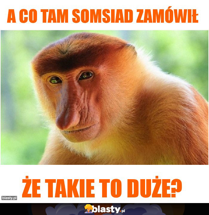 a co tam somsiad zamówił a co tam somsiad zamówił