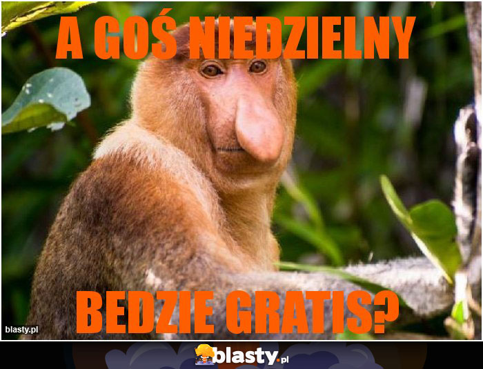 A GOŚ NIEDZIELNY