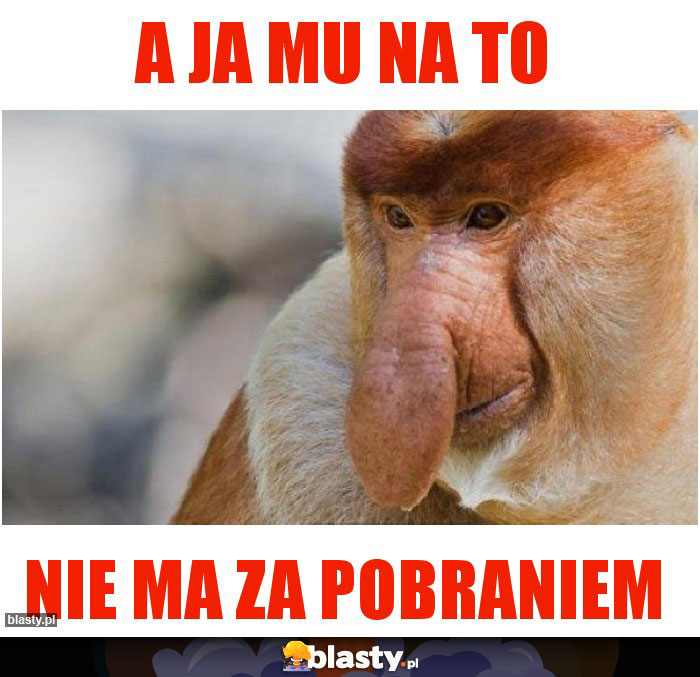 A ja mu na to A ja mu na to