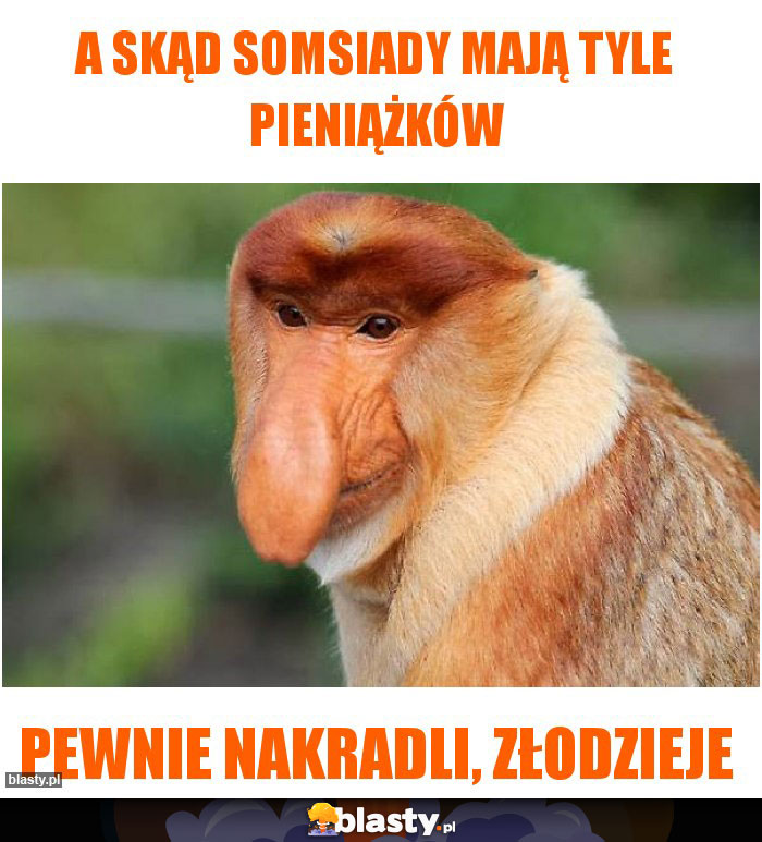 A SKĄD SOMSIADY MAJĄ TYLE PIENIĄŻKÓW A SKĄD SOMSIADY MAJĄ TYLE PIENIĄŻKÓW