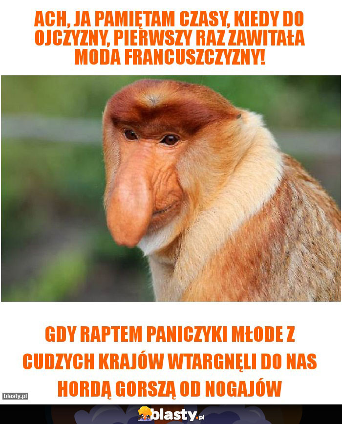 Ach, ja pamiętam czasy, kiedy do ojczyzny, Pierwszy raz zawitała moda francuszczyzny!
