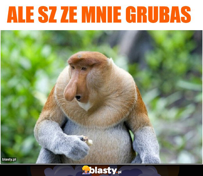 Ale sz ze mnie grubas Ale sz ze mnie grubas