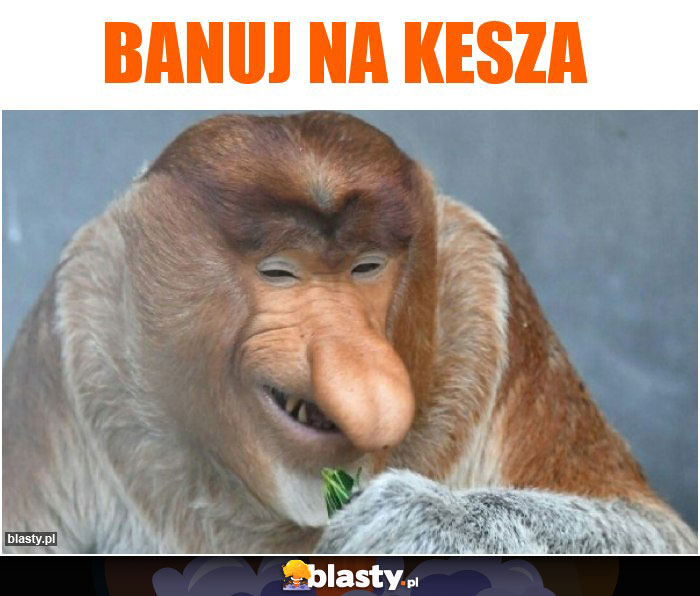 Banuj na kesza