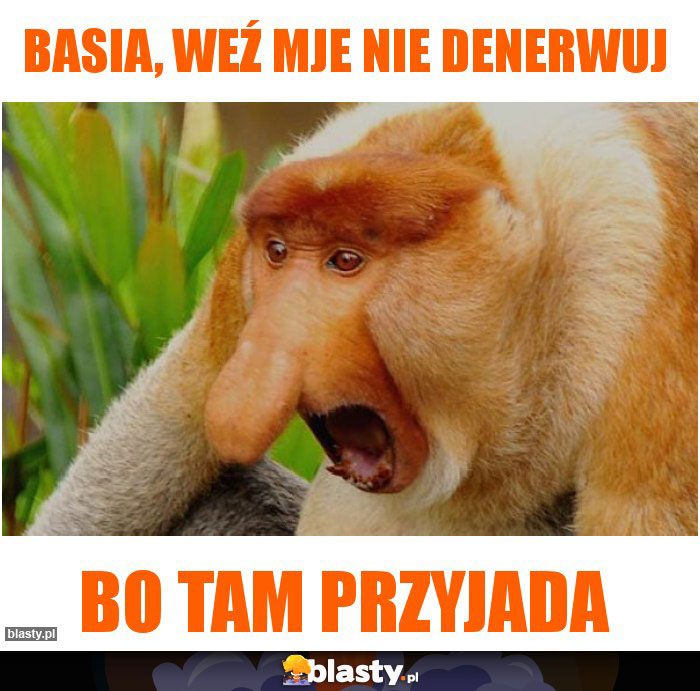 Basia, weź mje nie denerwuj