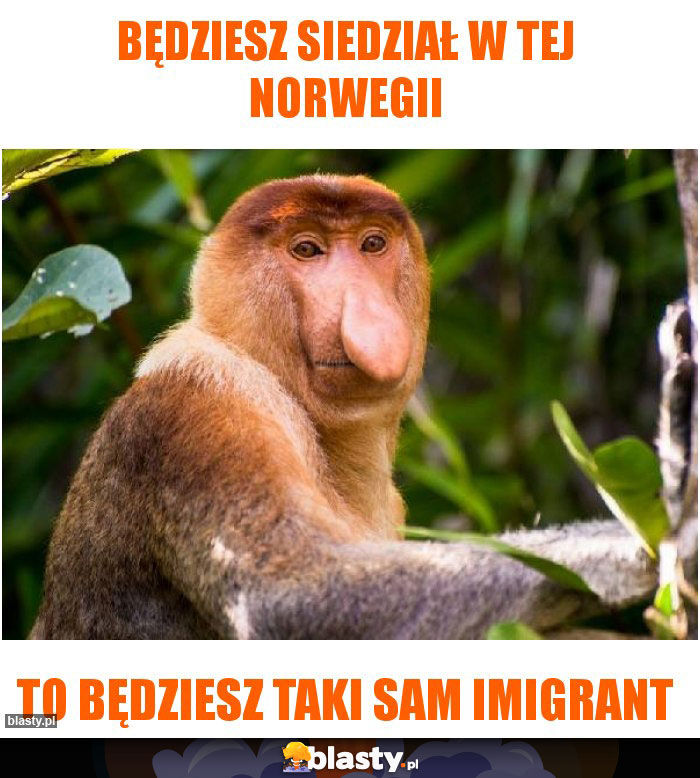 Będziesz siedział w tej Norwegii