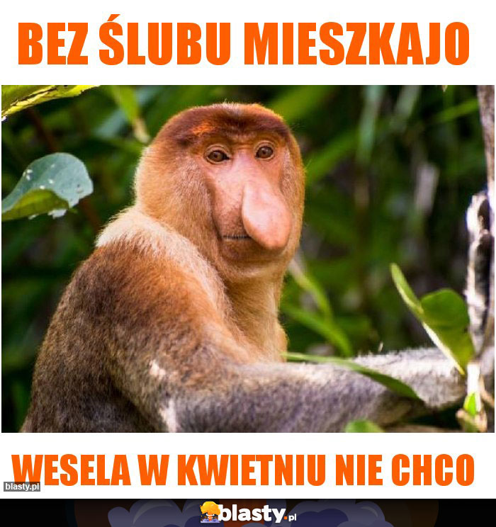 Bez ślubu mieszkajo Bez ślubu mieszkajo