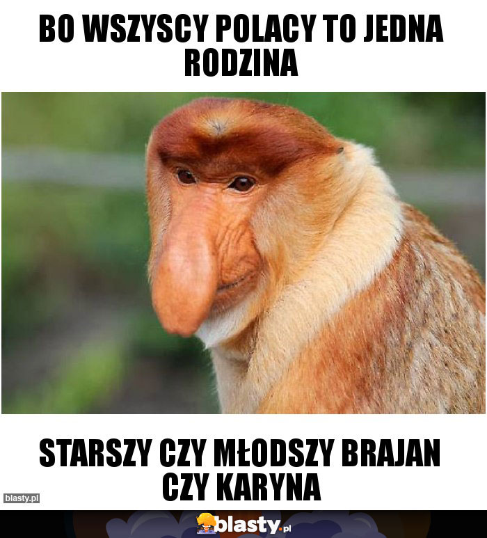 Bo Wszyscy Polacy To Jedna Rodzina Tekst bo wszyscy polacy to jedna rodzina memy, gify i śmieszne obrazki