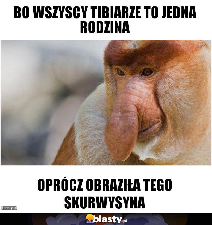 Bo wszyscy Tibiarze to jedna rodzina