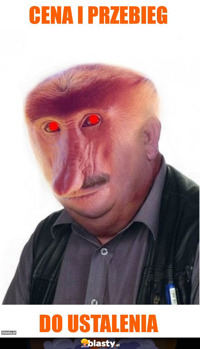 CENA I PRZEBIEG