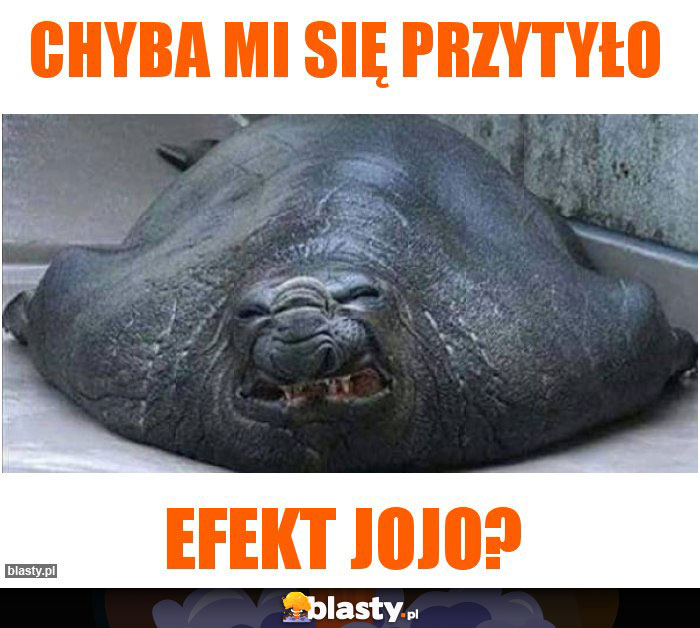 chyba mi się przytyło
