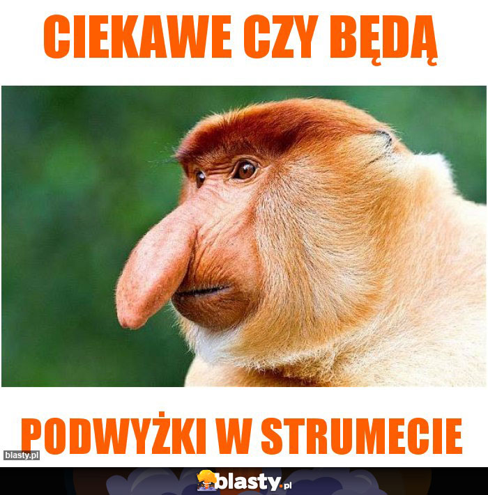 Ciekawe czy będą