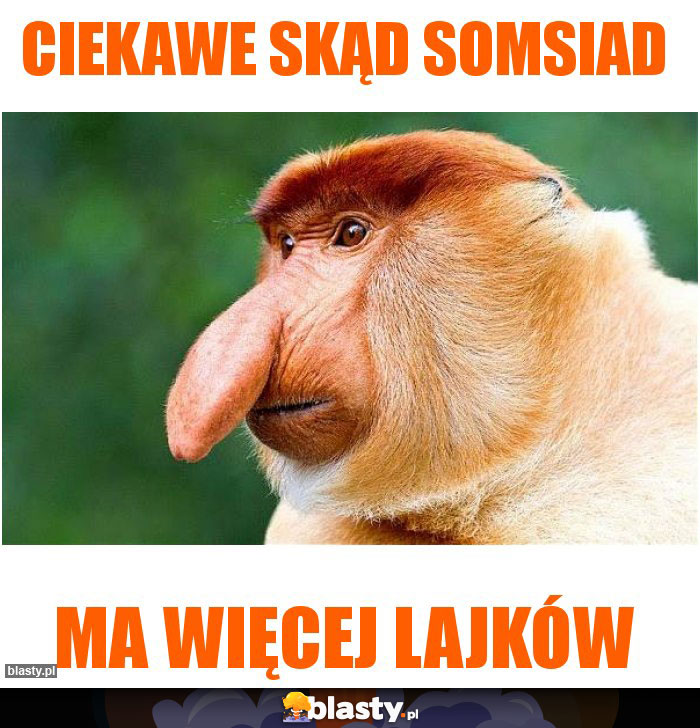 Ciekawe skąd SOMSIAD