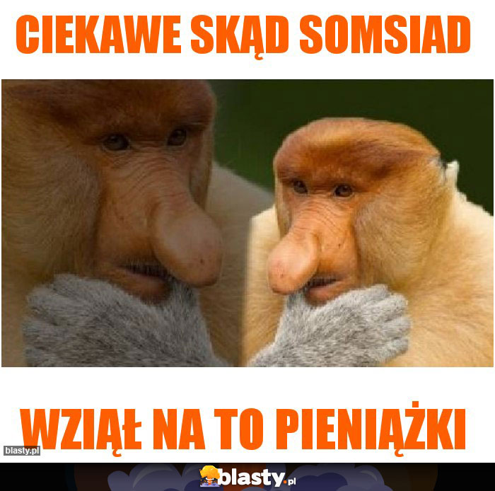 Ciekawe skąd somsiad Ciekawe skąd somsiad
