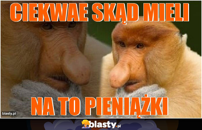 CIEKWAE SKĄD MIELI