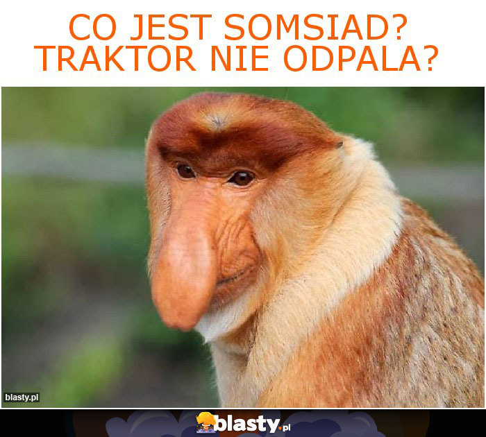 Co jest Somsiad? Traktor nie odpala?