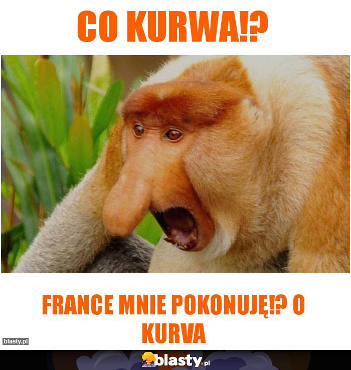 CO KURWA!? CO KURWA!?