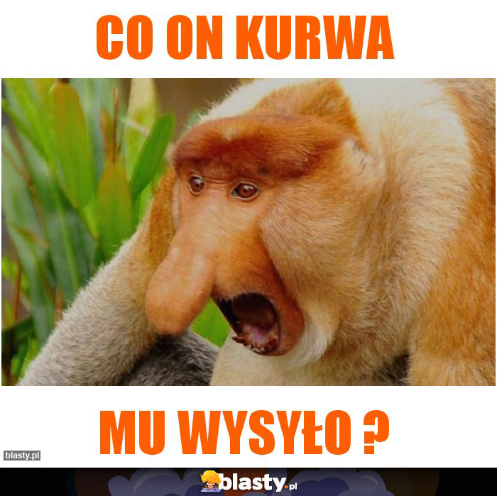 Co on kurwa