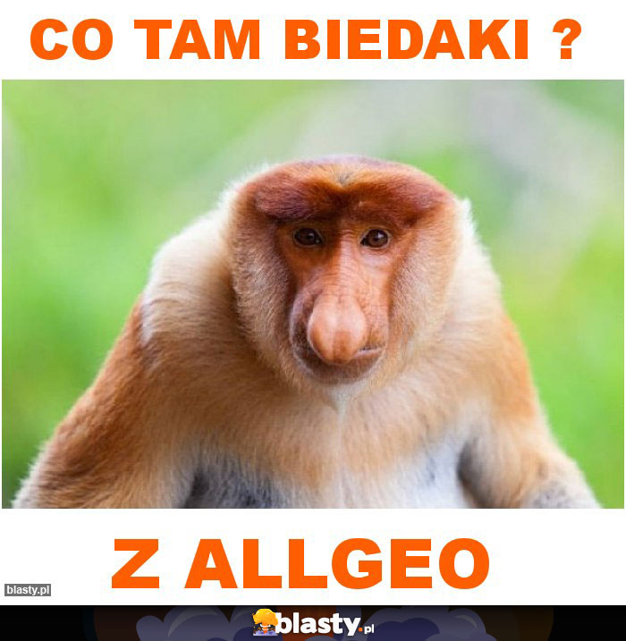 co tam biedaki ?