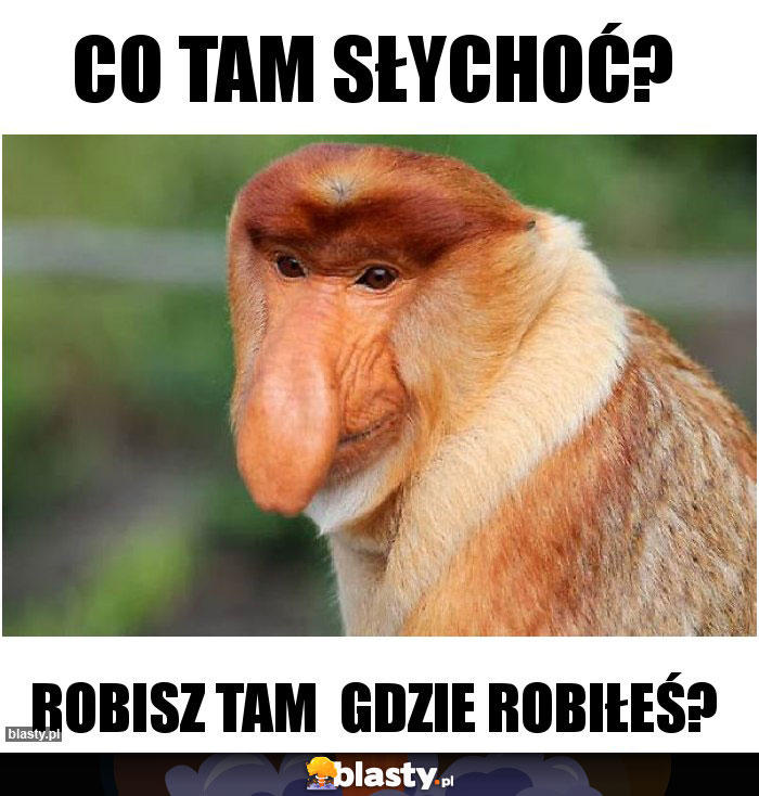 Co tam słychoć?