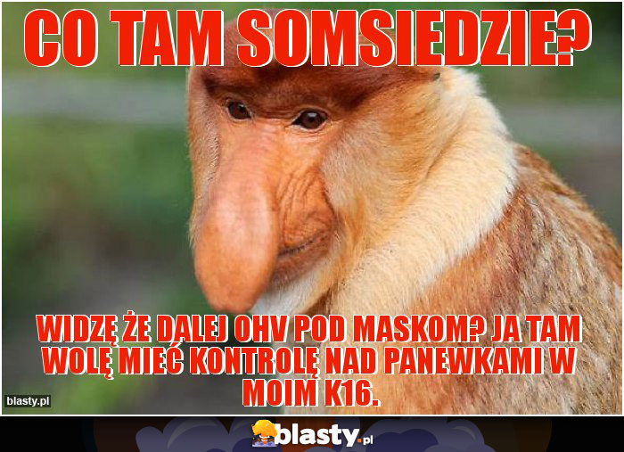 Co tam somsiedzie?