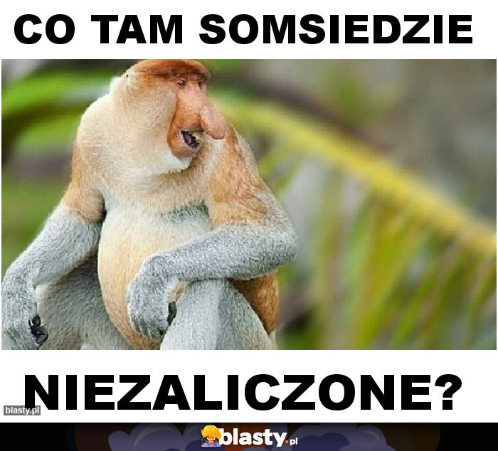 Co tam somsiedzie Co tam somsiedzie