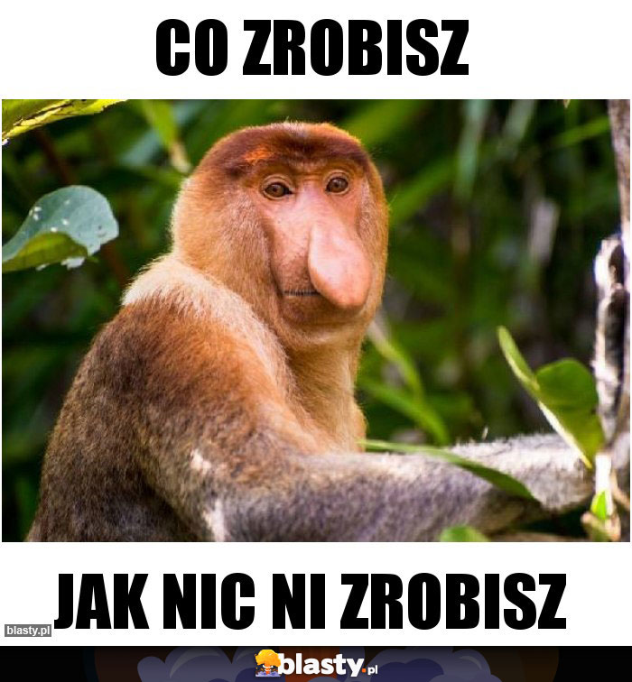 Co zrobisz Co zrobisz