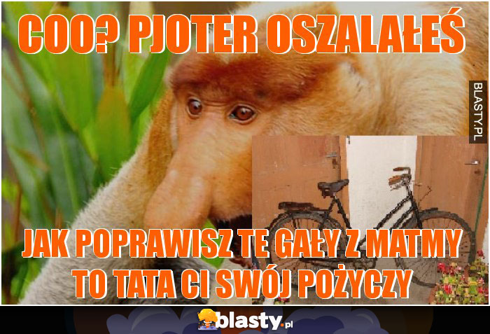 coo? pjoter oszalałeś