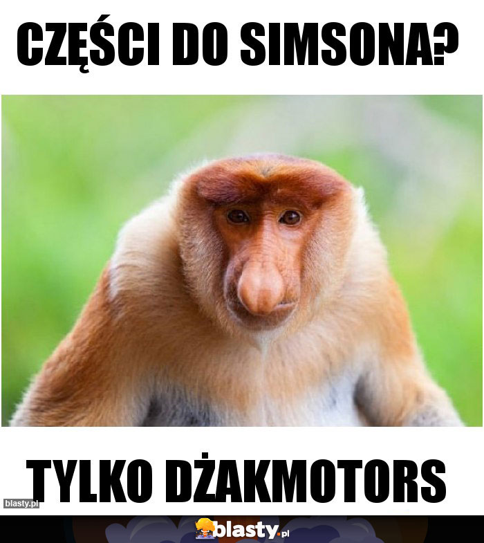 części do simsona?