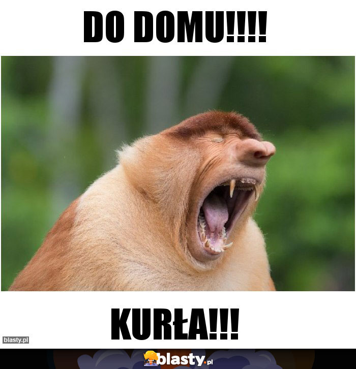Do domu!!!!