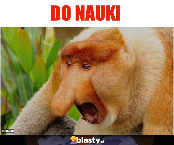 DO NAUKI