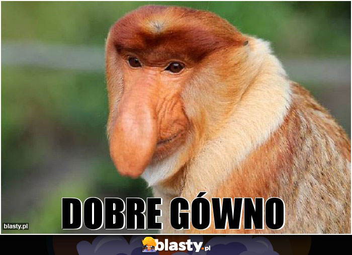 Dobre gówno