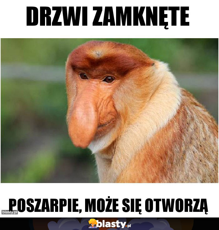 Drzwi zamknęte