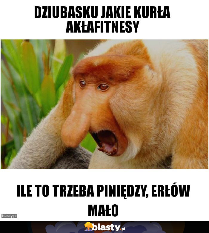 Dziubasku jakie kurła  akłafitnesy