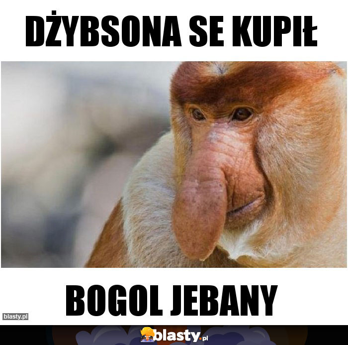 Dżybsona se kupił Dżybsona se kupił
